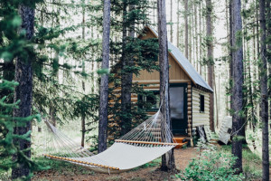 Retreat-Urlaub: Mitten im Wald steht ein kleines Holzhaus, davor ist eine Hängematte gespannt. Digital Detox im Wald.