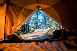 Retreat-Urlaub in der Natur. Der Blick fällt durch ein geöffnetes Zelt hinaus in den Wald. Man blickt auf Bäume und den Rauch eines erloschenen Lagerfeuers.